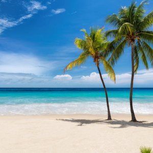 Meet your Posher, Suzanne